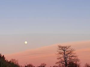 Annelies 05 - Volle maan